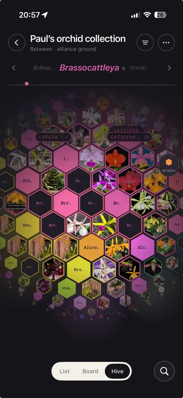 The Hive at the between zoom, on the Cattleya alliance ground
