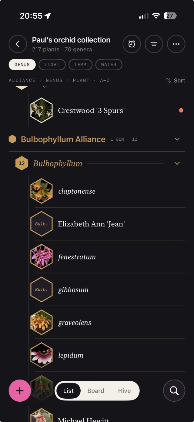 Collection grouped Alliance, Genus, plant